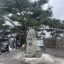 서울 등산 "청계산" 여자 혼자 겨울 등산, 소요시간, 주차장