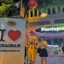 방콕 카오산로드 클럽 거리 마약이 합법화된 밤 분위기 feat 길거리 음식 람부뜨리로드 맛집