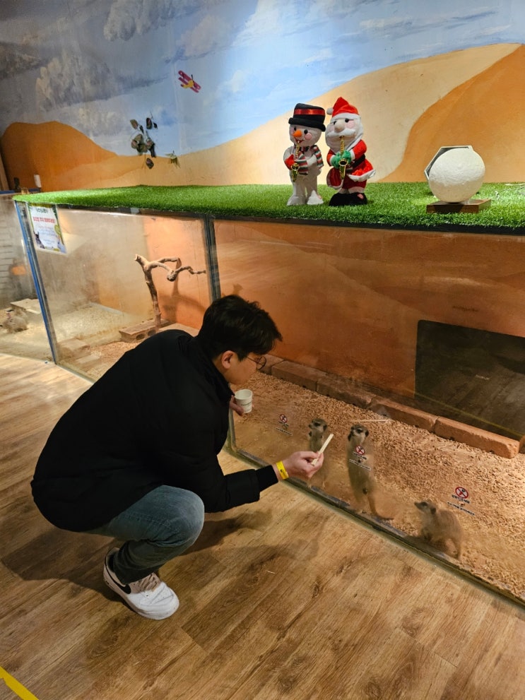 대전 실내동물원 티놀자애니멀파크 아이랑 가기 좋은 곳