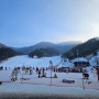 광주, 부산, 대구, 대전에서 무주 스키장 가서 100% 즐기는 방법!
