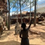 아이와함께 호주여행 :: 시드니 와일드라이프 동물원