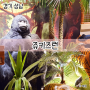 성남 위례 가성비 좋은 동물원 컨셉 키즈카페 쥬키즈런