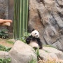 홍콩 여행 아이들과 가기좋은 놀이공원 오션파크 / 동물원, 아쿠아리움, 식당 후기