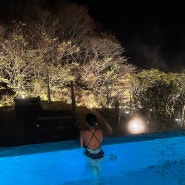 [제주도] 구좌 숙소 추천 겨울 온수풀 수영장 에코랜드 호텔