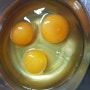 계란요리