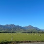 뉴질랜드 현지 여행사 길여행사 소개해드려요 :)