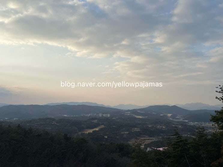 [경주] 커피명가 경주무장산점 ; 뷰맛집