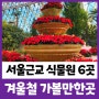 서울근교 식물원추천 6곳 겨울철 여행지