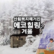 에코힐링 겨울호 국내 유일의 산림복지매거진