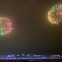세종시 가볼만한 곳 이응다리 빛 축제 새해 불꽃놀이 야경 데이트 코스 불꽃쇼