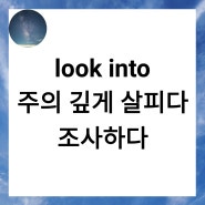 구동사 look into 표현 다양한 예문