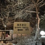 홍천 [캠프하다 캠핑장]에서 새 해를!