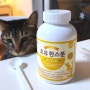 고양이 면역력 영양제 초유한스푼 (내돈내산)