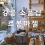 강릉 르봉마젤 : 소품샵 & 카페 / 파리감성