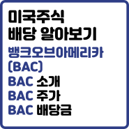 [미국 배당주] BAC 배당금 : 미국 3대 은행 뱅크오브아메리카(BAC) 배당금 배당수익률 알아보기