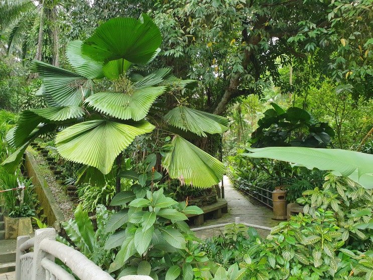 쿠알라룸푸르 가볼만한곳 - 페르다나 식물원(Perdana Botanical Garden)