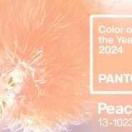 [2024 팬톤_피치 퍼즈] 올해의 컬러(Colour of the Year 2024)