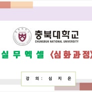 충북대학교ㅣ실무 엑셀 온라인 줌 수업 기초/심화과정 by 심지은 엑셀 강사