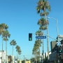 [아기 둘이랑 LA 여행🇺🇸] Venice Beach_베니스 비치, 베니스 해변, 엘에이 여행, 엘에이 베니스 비치, LA 베니스 비치, 애봇키니 거리