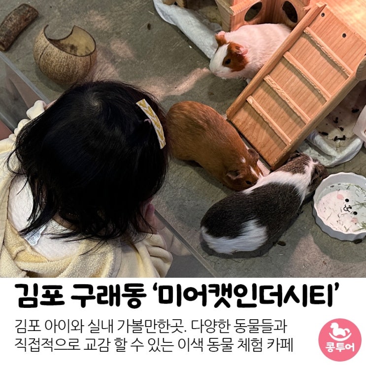 김포 실내 아기랑 갈만한 곳)... 구래동 "미어캣인더시티" 방문...