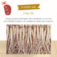 금산인삼 삼계탕 삼 종류 1채 51~ 65뿌리 무게 판매
