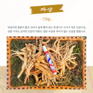 금산인삼 면역력 강화 파삼 수삼 시장 도매 1채(750g)