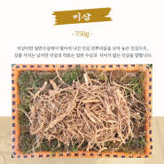 금산수삼 인삼 잔뿌리 세척미삼 한채(750g) 단위 판매 (소량한정)