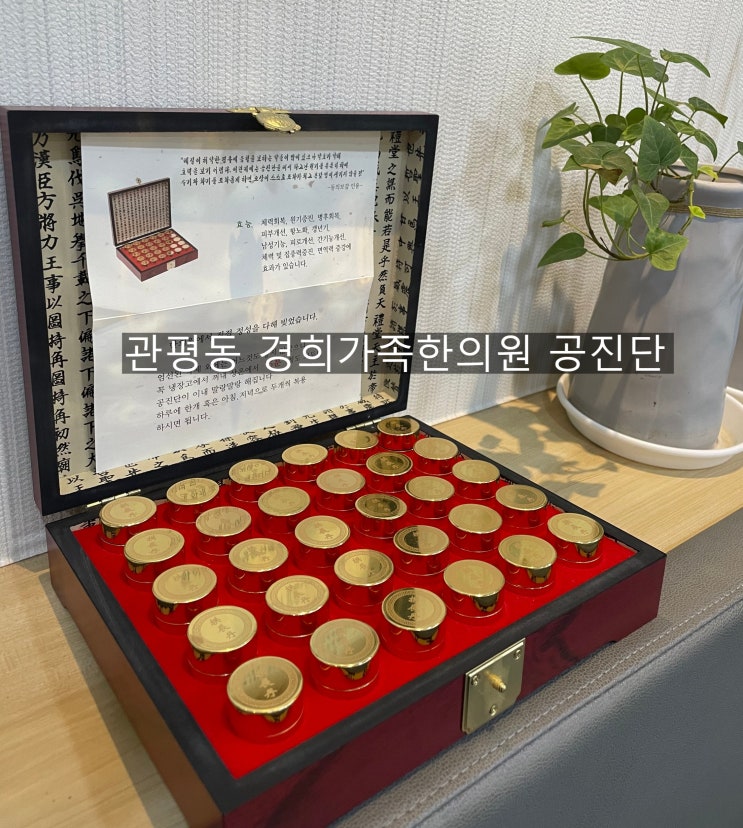 [관평동 한의원] 원장의 공진단 복용기