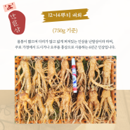 금산인삼 난발삼 한뿌리 1채 12~14개 생인삼 구매 정보