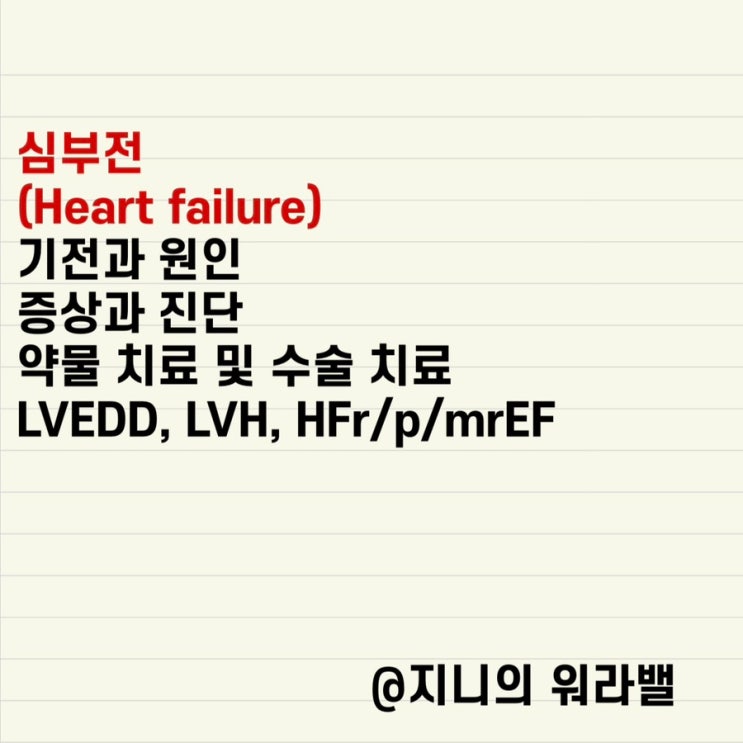 심부전(Heart Failure, HF), 심부전 증상, 원인, 치료, 울혈성 심부전, LVEED, LVH, HErEF ...