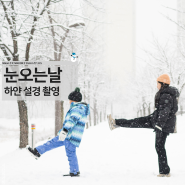 눈 오는 날 겨울 설경 촬영 팁 공개 니콘 미러리스 카메라 Z fc