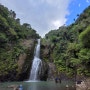 피하(piha)/ 키테 키테 폭포(kite kite waterfall)