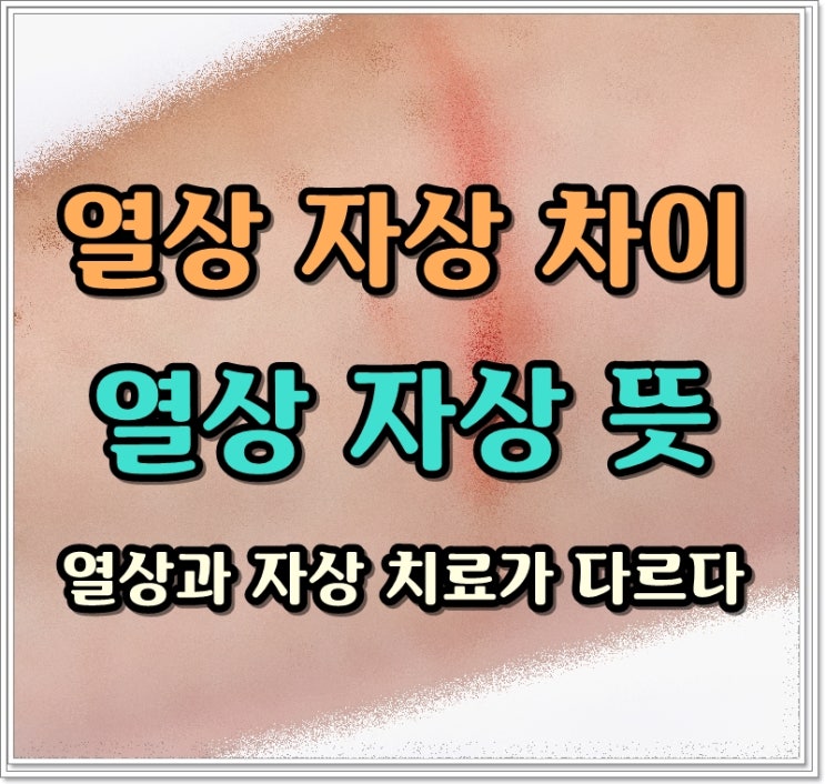 열상 자상 차이 뜻 열상과 자상 위험한 것은? : 네이버 블로그