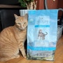 [고양이 사료 추천] 기호성 완전 좋은 고양이 건강식 사료 오가앤리프 캣 웨이트 케어