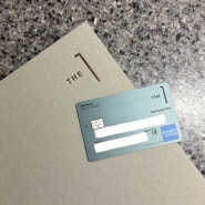 [삼성카드] 나의 첫번째 프리미엄 신용카드 THE 1 (더원) - 스카이패스