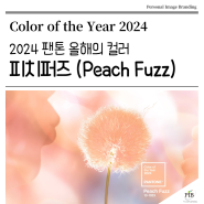 2024 팬톤 올해의 컬러 "피치 퍼즈(Peach Fuzz)"