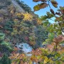 물드는 가을을 즐기러 북한산으로 OCT 2023