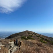 [산림청 100대 명산] #21 울주군 간월재/신불산 등산 코스(11월 억새 상황)