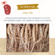 충남 금산인삼 튀김 요리 삼계삼 한채 36~50뿌리