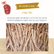 금산인삼시장 잔삼계 음료 수삼 한채 90~150뿌리