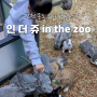 인천 송도 인더쥬 아이와 갈만한 곳 실내동물원 할인방법 예매꿀팁 먹이주기 동물교감체험 시간 놀이시설