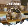 서울 국립중앙박물관 뮤지엄 샵 기념품 굿즈