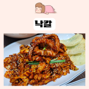낙칼 본리동낙지볶음 맛집 불향낙지볶음 동죽칼국수 육전으로 푸짐한 저녁식사 완성