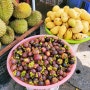 베트남 무이네에서 시장을 찾으세요? 과일이 땡길 땐 로시장인 함티엔마켓으로!