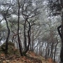눈꽃 겨울산행 광채 나는 광교산 형제봉 꼭대기 서서