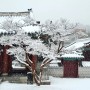 오랜만에 서울에 많은 눈이 내렸다