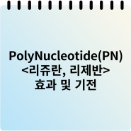 PolyNucleotide(PN) <리쥬란, 리제반, 리즈네> 의 효능