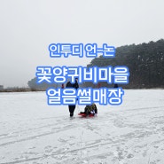 [원주] 용수골 눈썰매장 "꽃양귀비마을" 인투디 언논