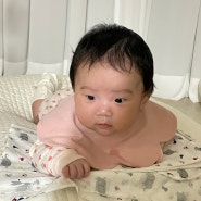 2개월아기 육아기록[81~85일차] : 유모차 첫 시승, 외식 성공!