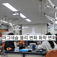 마그네슘 리본, 물리 변화와 화학 변화